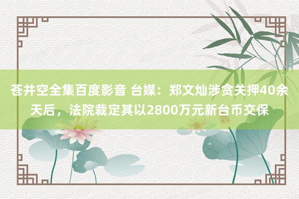 苍井空全集百度影音 台媒：郑文灿涉贪关押40余天后，法院裁定其以2800万元新台币交保
