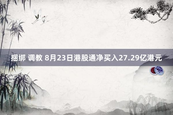 捆绑 调教 8月23日港股通净买入27.29亿港元