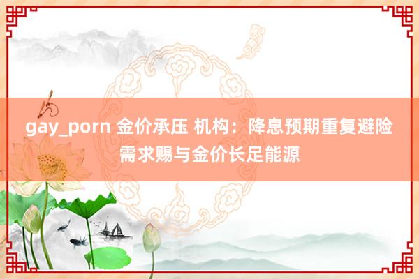 gay_porn 金价承压 机构：降息预期重复避险需求赐与金价长足能源