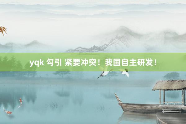 yqk 勾引 紧要冲突！我国自主研发！