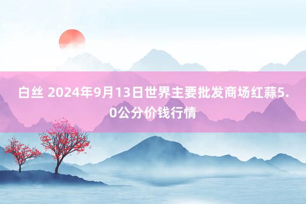 白丝 2024年9月13日世界主要批发商场红蒜5.0公分价钱行情