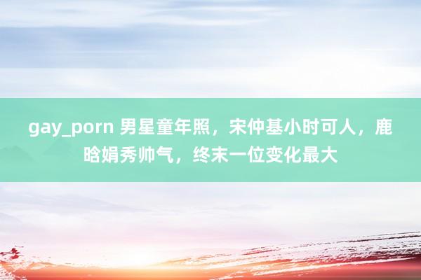 gay_porn 男星童年照，宋仲基小时可人，鹿晗娟秀帅气，终末一位变化最大