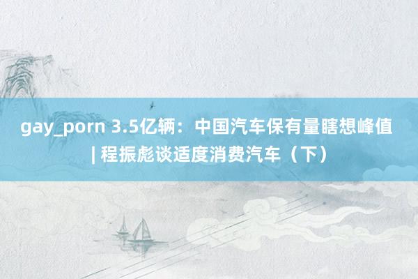 gay_porn 3.5亿辆：中国汽车保有量瞎想峰值 | 程振彪谈适度消费汽车（下）