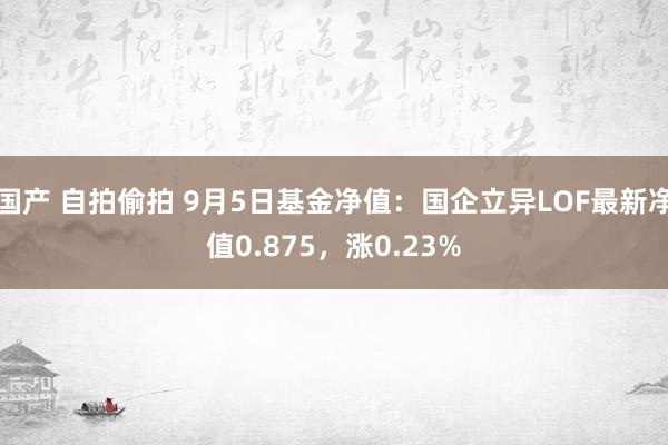 国产 自拍偷拍 9月5日基金净值：国企立异LOF最新净值0.875，涨0.23%
