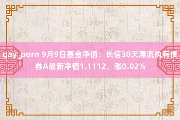 gay_porn 9月9日基金净值：长信30天漂流执有债券A最新净值1.1112，涨0.02%