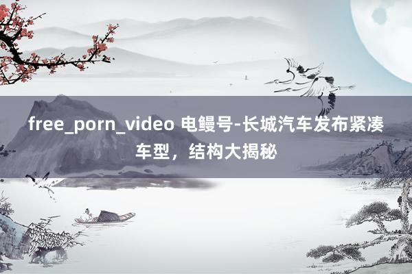 free_porn_video 电鳗号-长城汽车发布紧凑车型，结构大揭秘