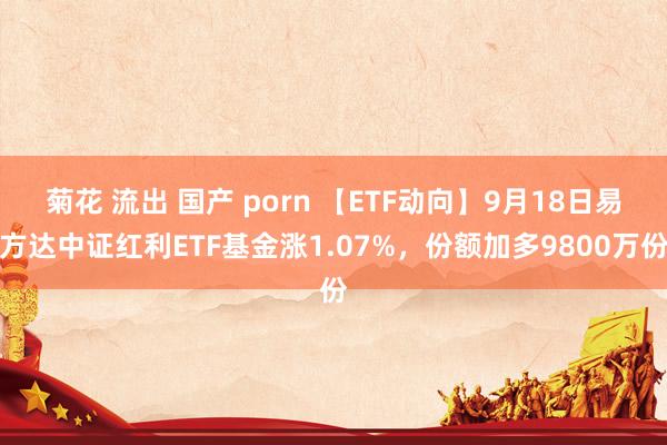 菊花 流出 国产 porn 【ETF动向】9月18日易方达中证红利ETF基金涨1.07%，份额加多9800万份