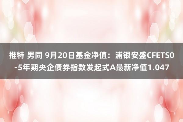 推特 男同 9月20日基金净值：浦银安盛CFETS0-5年期央企债券指数发起式A最新净值1.047