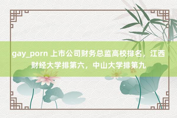 gay_porn 上市公司财务总监高校排名，江西财经大学排第六，中山大学排第九