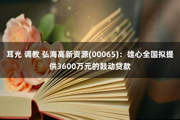 耳光 调教 弘海高新资源(00065)：雄心全国拟提供3600万元的鼓动贷款