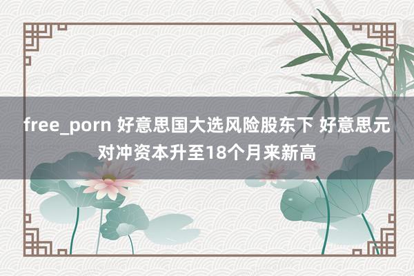 free_porn 好意思国大选风险股东下 好意思元对冲资本升至18个月来新高