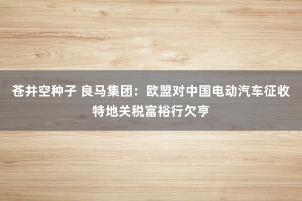 苍井空种子 良马集团：欧盟对中国电动汽车征收特地关税富裕行欠亨