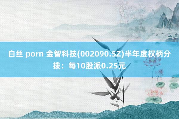 白丝 porn 金智科技(002090.SZ)半年度权柄分拨：每10股派0.25元