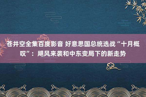 苍井空全集百度影音 好意思国总统选战“十月概叹”：飓风来袭和中东变局下的新走势