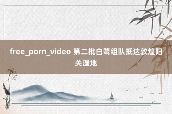 free_porn_video 第二批白鹭组队抵达敦煌阳关湿地