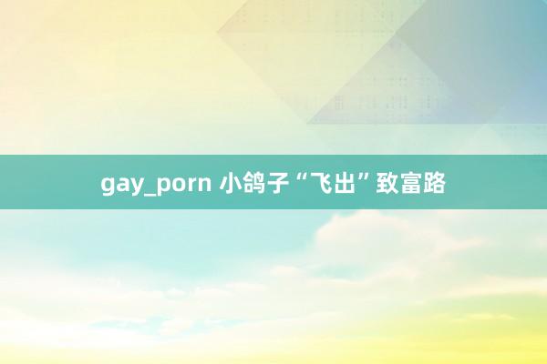 gay_porn 小鸽子“飞出”致富路