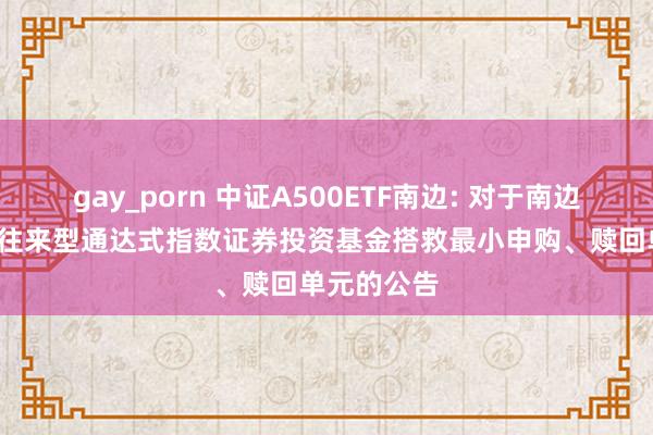 gay_porn 中证A500ETF南边: 对于南边中证A500往来型通达式指数证券投资基金搭救最小申购、赎回单元的公告