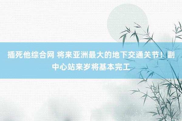 插死他综合网 将来亚洲最大的地下交通关节！副中心站来岁将基本完工