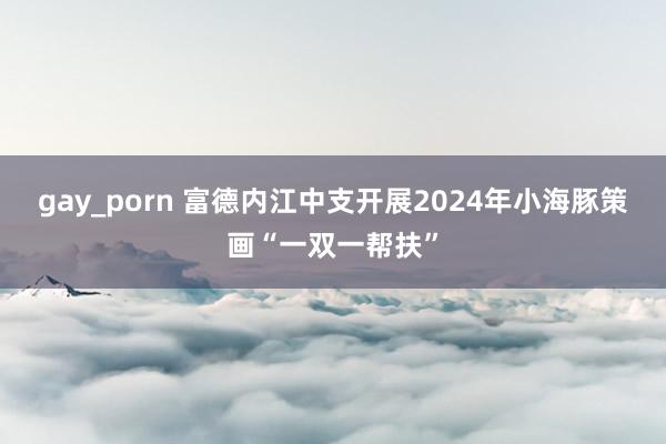 gay_porn 富德内江中支开展2024年小海豚策画“一双一帮扶”