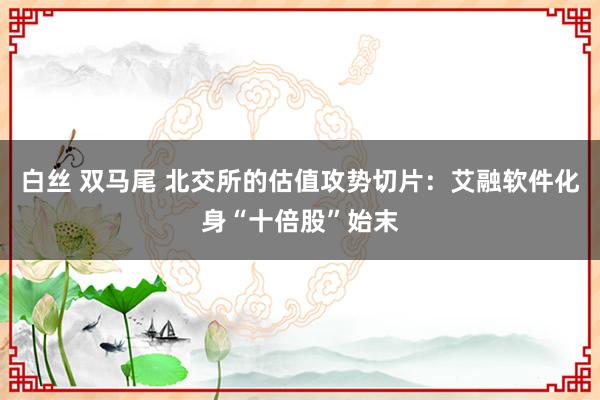 白丝 双马尾 北交所的估值攻势切片：艾融软件化身“十倍股”始末