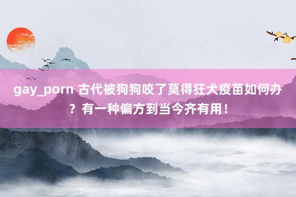 gay_porn 古代被狗狗咬了莫得狂犬疫苗如何办？有一种偏方到当今齐有用！