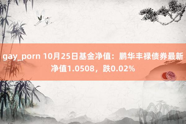 gay_porn 10月25日基金净值：鹏华丰禄债券最新净值1.0508，跌0.02%