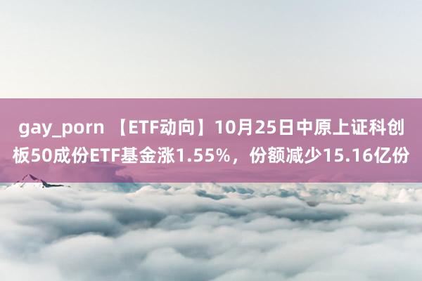 gay_porn 【ETF动向】10月25日中原上证科创板50成份ETF基金涨1.55%，份额减少15.16亿份