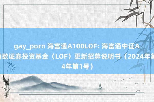 gay_porn 海富通A100LOF: 海富通中证A100指数证券投资基金(LOF)更新招募说明书(2024年第1号)