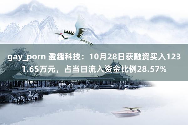 gay_porn 盈趣科技：10月28日获融资买入1231.65万元，占当日流入资金比例28.57%