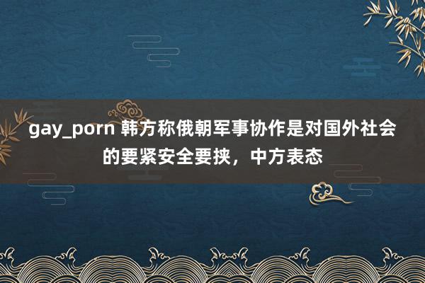 gay_porn 韩方称俄朝军事协作是对国外社会的要紧安全要挟,中方表态