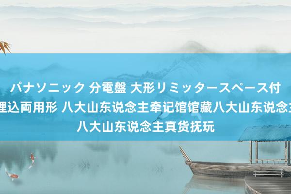 パナソニック 分電盤 大形リミッタースペース付 露出・半埋込両用形 八大山东说念主牵记馆馆藏八大山东说念主真货抚玩