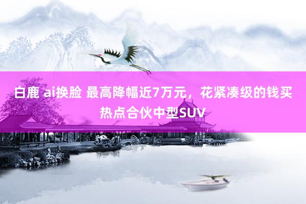 白鹿 ai换脸 最高降幅近7万元，花紧凑级的钱买热点合伙中型SUV