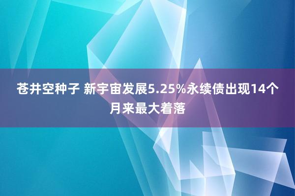 苍井空种子 新宇宙发展5.25%永续债出现14个月来最大着落