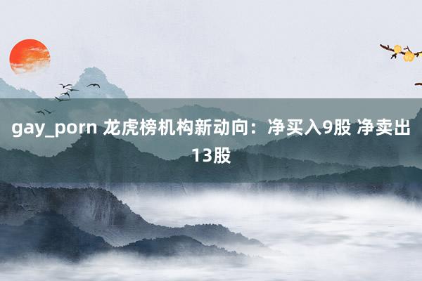 gay_porn 龙虎榜机构新动向：净买入9股 净卖出13股