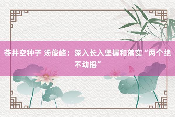 苍井空种子 汤俊峰：深入长入坚握和落实“两个绝不动摇”