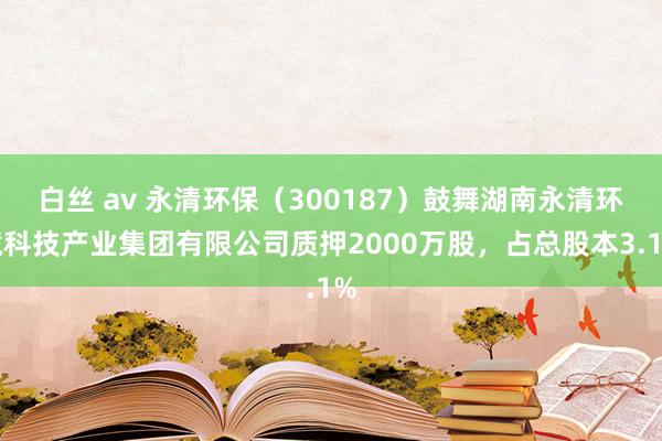 白丝 av 永清环保（300187）鼓舞湖南永清环境科技产业集团有限公司质押2000万股，占总股本3.1%