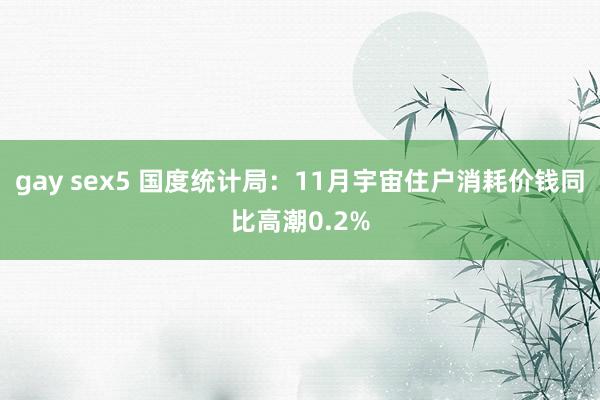 gay sex5 国度统计局：11月宇宙住户消耗价钱同比高潮0.2%