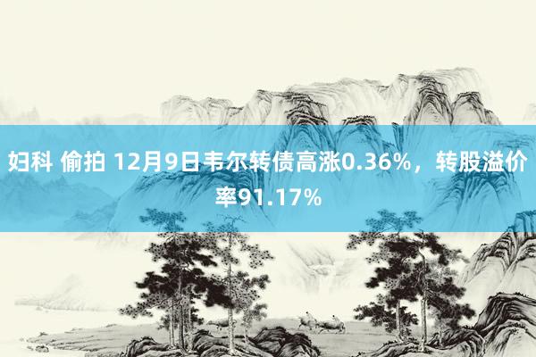 妇科 偷拍 12月9日韦尔转债高涨0.36%，转股溢价率91.17%