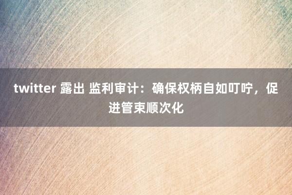 twitter 露出 监利审计：确保权柄自如叮咛，促进管束顺次化