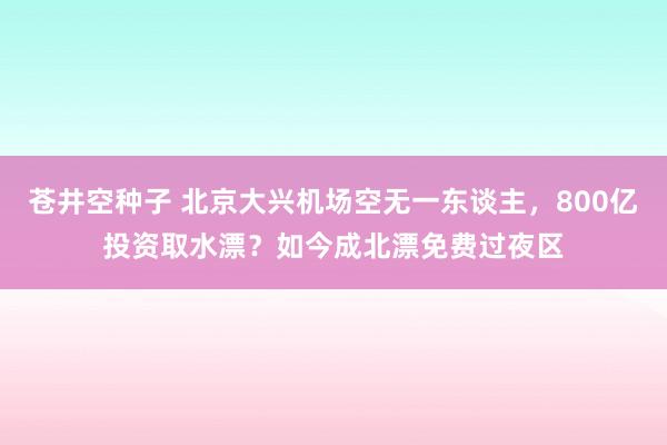 苍井空种子 北京大兴机场空无一东谈主，800亿投资取水漂？如今成北漂免费过夜区