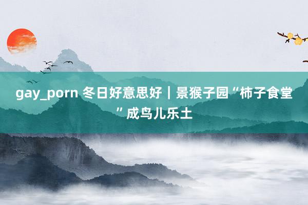 gay_porn 冬日好意思好｜景猴子园“柿子食堂”成鸟儿乐土
