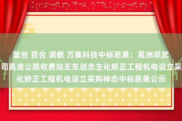 蕾丝 百合 调教 万集科技中标恶果：葛洲坝武汉说念路材料有限公司高速公路收费站无东说念主化矫正工程机电设立采购神态中标恶果公示