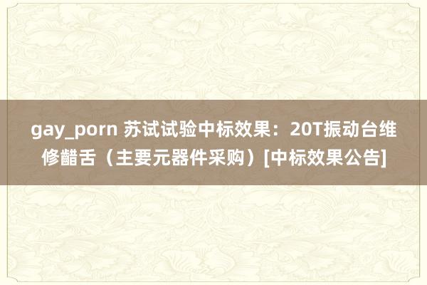 gay_porn 苏试试验中标效果：20T振动台维修齰舌（主要元器件采购）[中标效果公告]