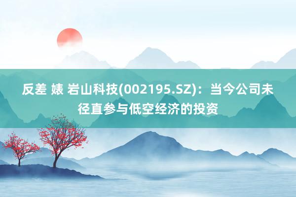 反差 婊 岩山科技(002195.SZ)：当今公司未径直参与低空经济的投资