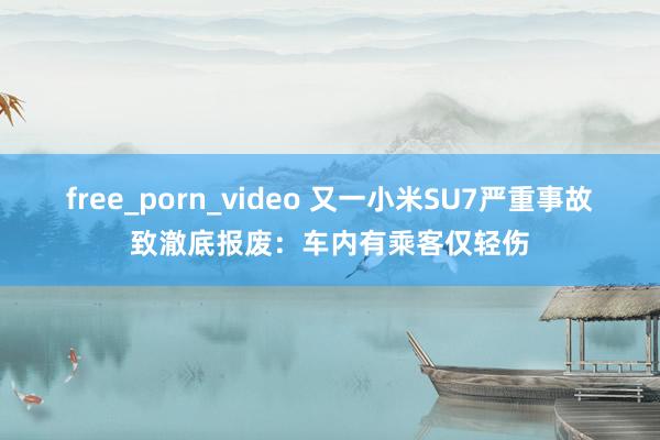 free_porn_video 又一小米SU7严重事故致澈底报废：车内有乘客仅轻伤
