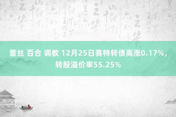 蕾丝 百合 调教 12月25日赛特转债高涨0.17%，转股溢价率55.25%