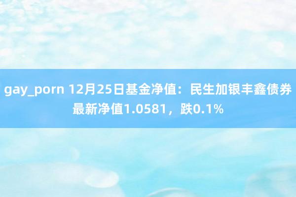gay_porn 12月25日基金净值：民生加银丰鑫债券最新净值1.0581，跌0.1%