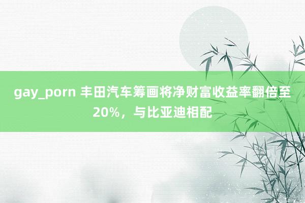 gay_porn 丰田汽车筹画将净财富收益率翻倍至20%，与比亚迪相配