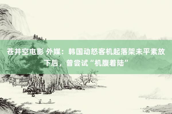 苍井空电影 外媒：韩国动怒客机起落架未平素放下后，曾尝试“机腹着陆”