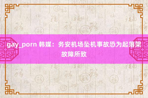 gay_porn 韩媒：务安机场坠机事故恐为起落架故障所致
